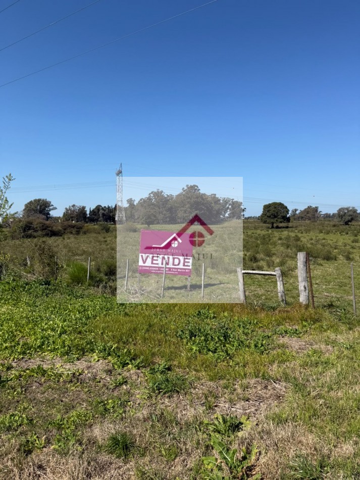 Vendo Campo