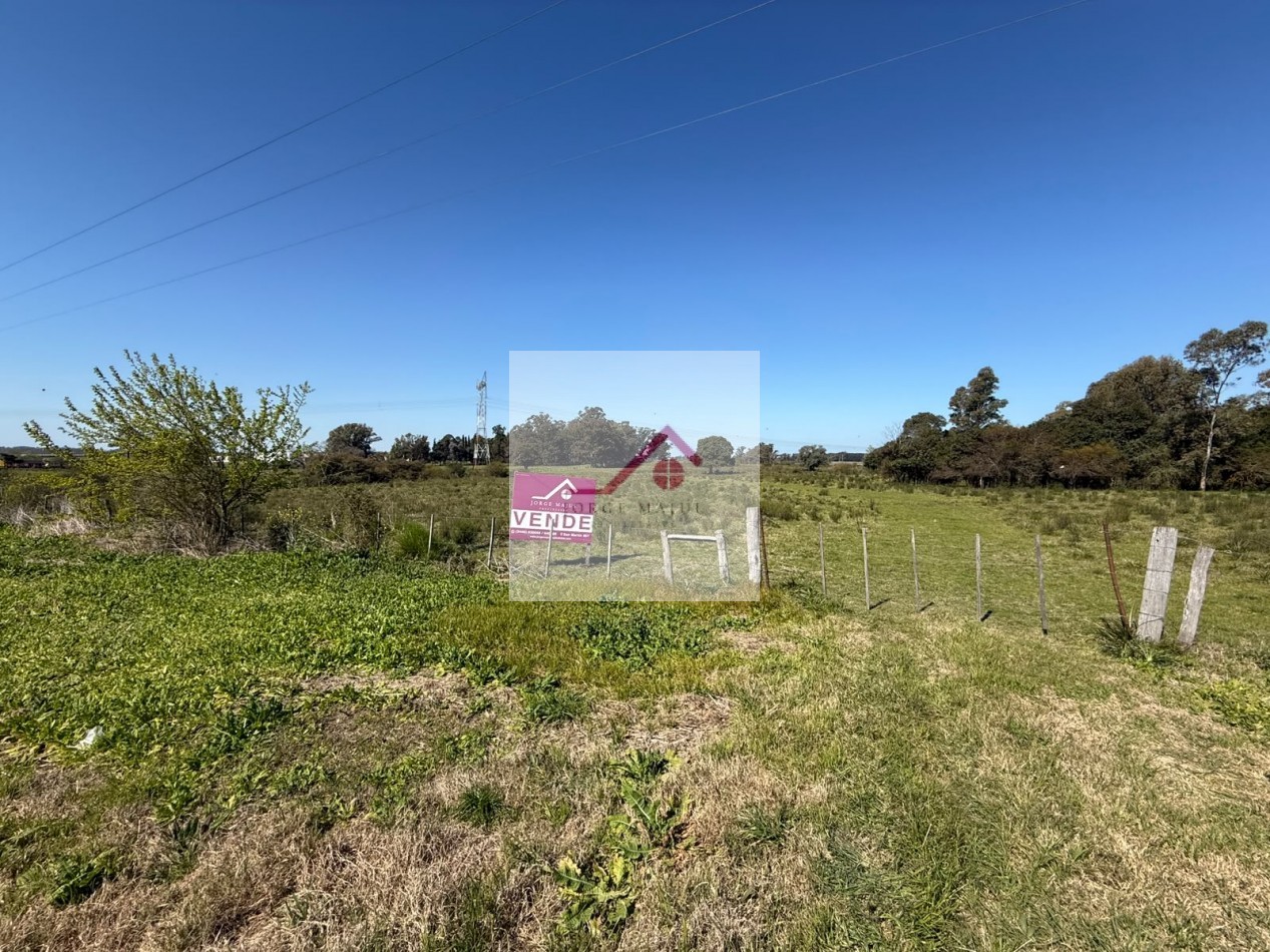 Vendo Campo