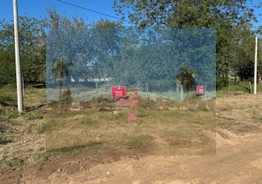 Terreno En Venta