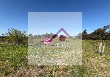 Vendo Campo